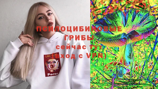 гидропоника Балахна